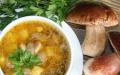 Как приготовить грибной суп – простые рецепты приготовления вкусных супов с грибами
