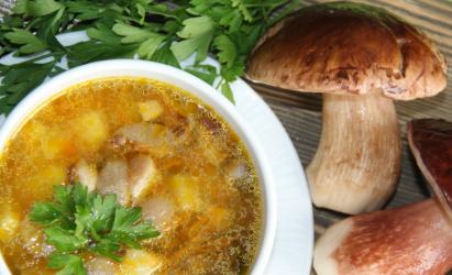 Как приготовить грибной суп – простые рецепты приготовления вкусных супов с грибами