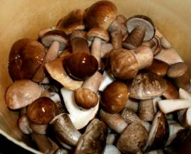 Заготовка грибов: маринование, заморозка и сушка подосиновиков и подберезовиков