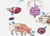Тениидоз: виды паразитов, путь передачи и методы лечения